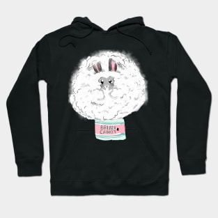 Brian the Cotton Candy Bunny Hoodie